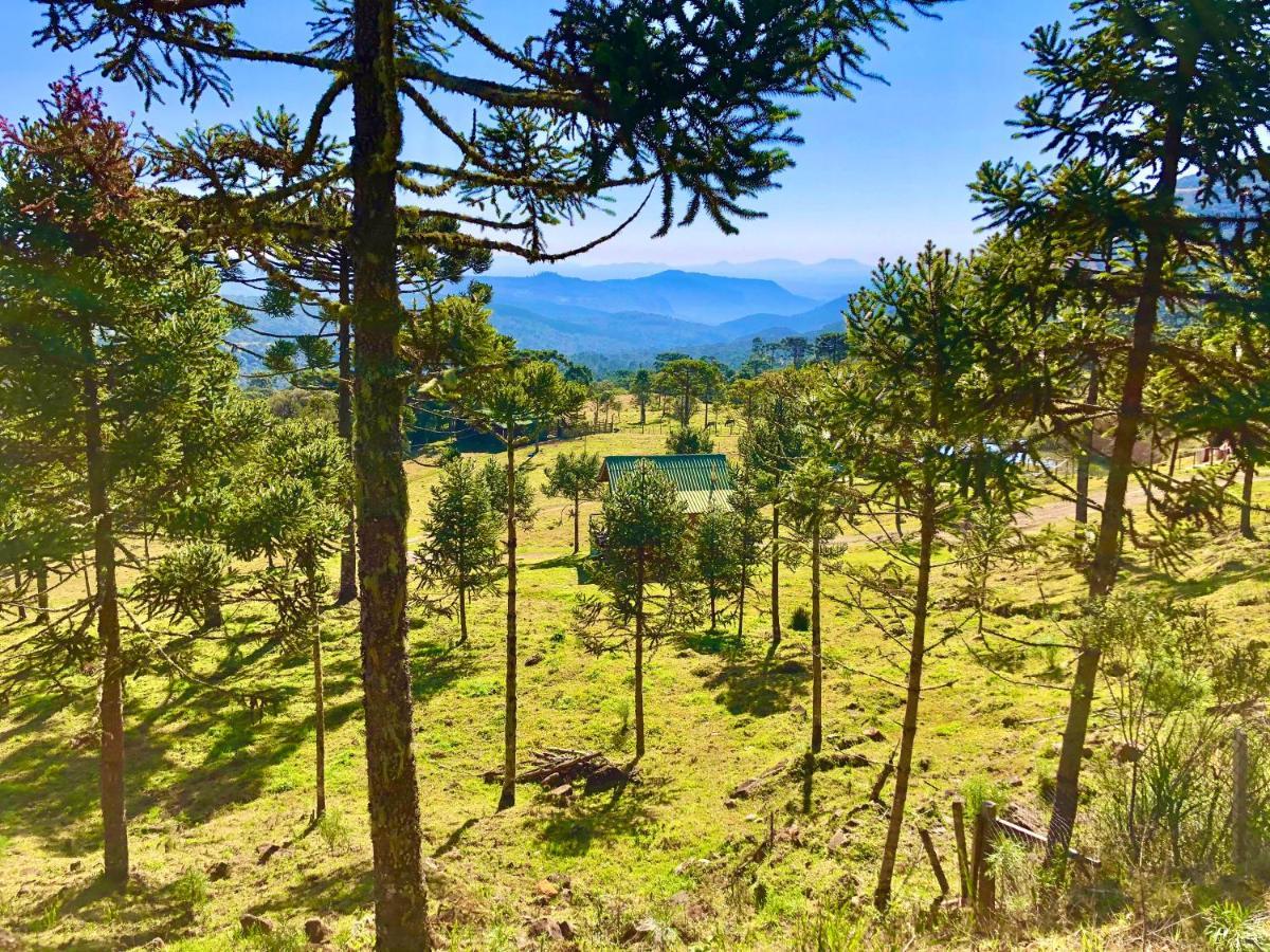 Fazenda Morro Das Torres 乌鲁佩马 外观 照片