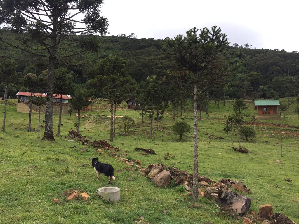 Fazenda Morro Das Torres 乌鲁佩马 外观 照片