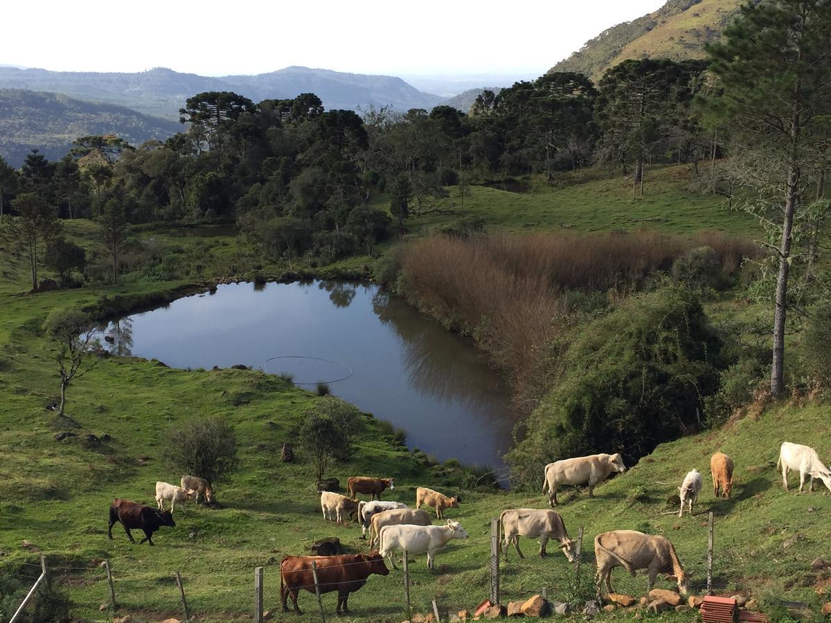 Fazenda Morro Das Torres 乌鲁佩马 外观 照片